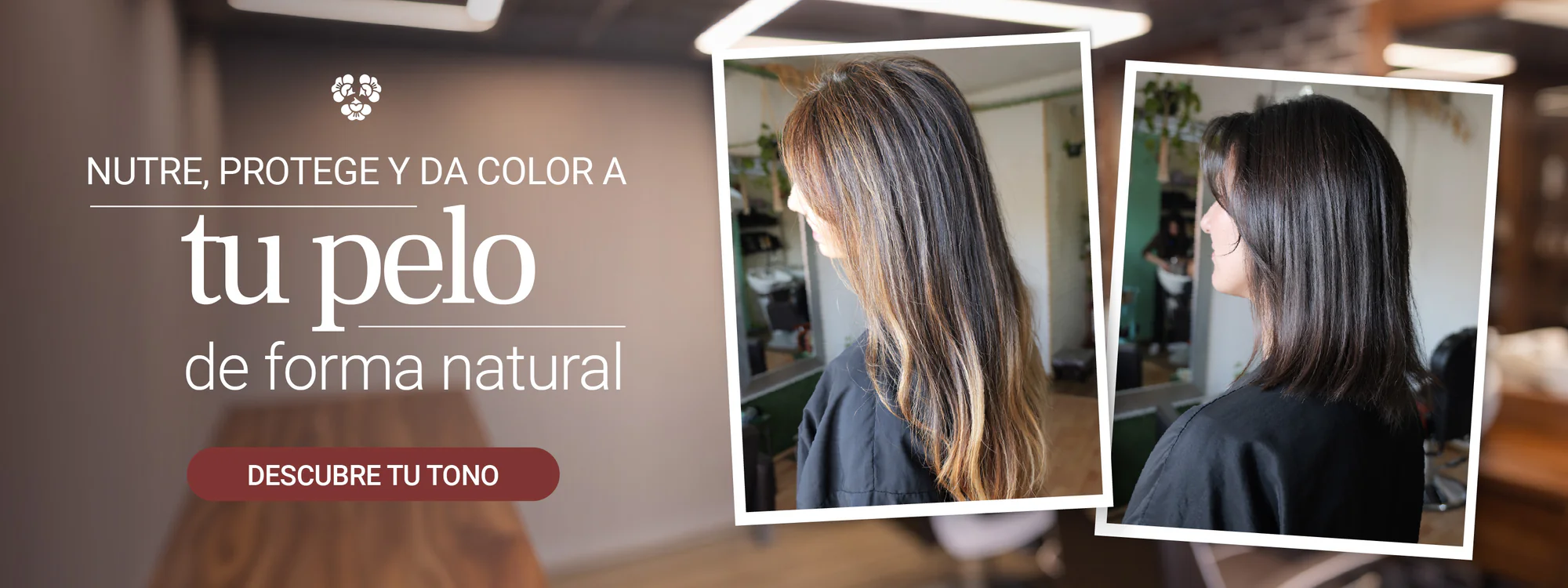 Belleza Natural en Armonía